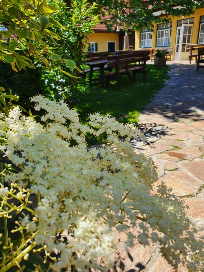 Landhof Steinbaeck Hotel Sankt Stefan ob Stainz Exterior foto